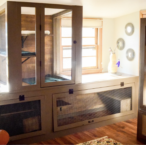 Cat and Critter Room Overview