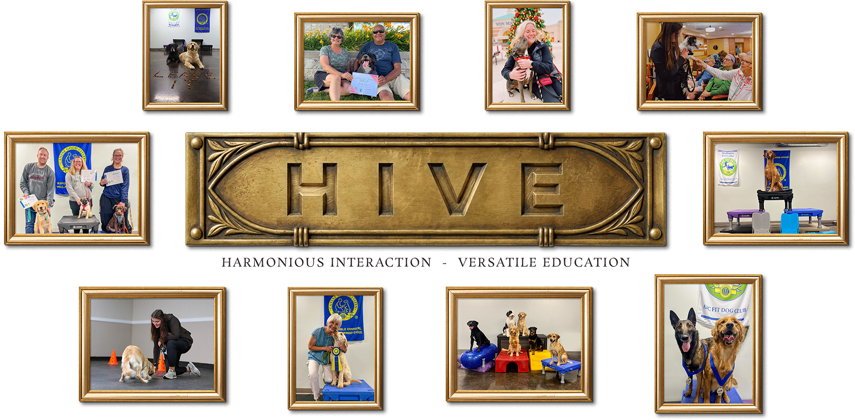 Harmonious Interaction - Versatile Education
