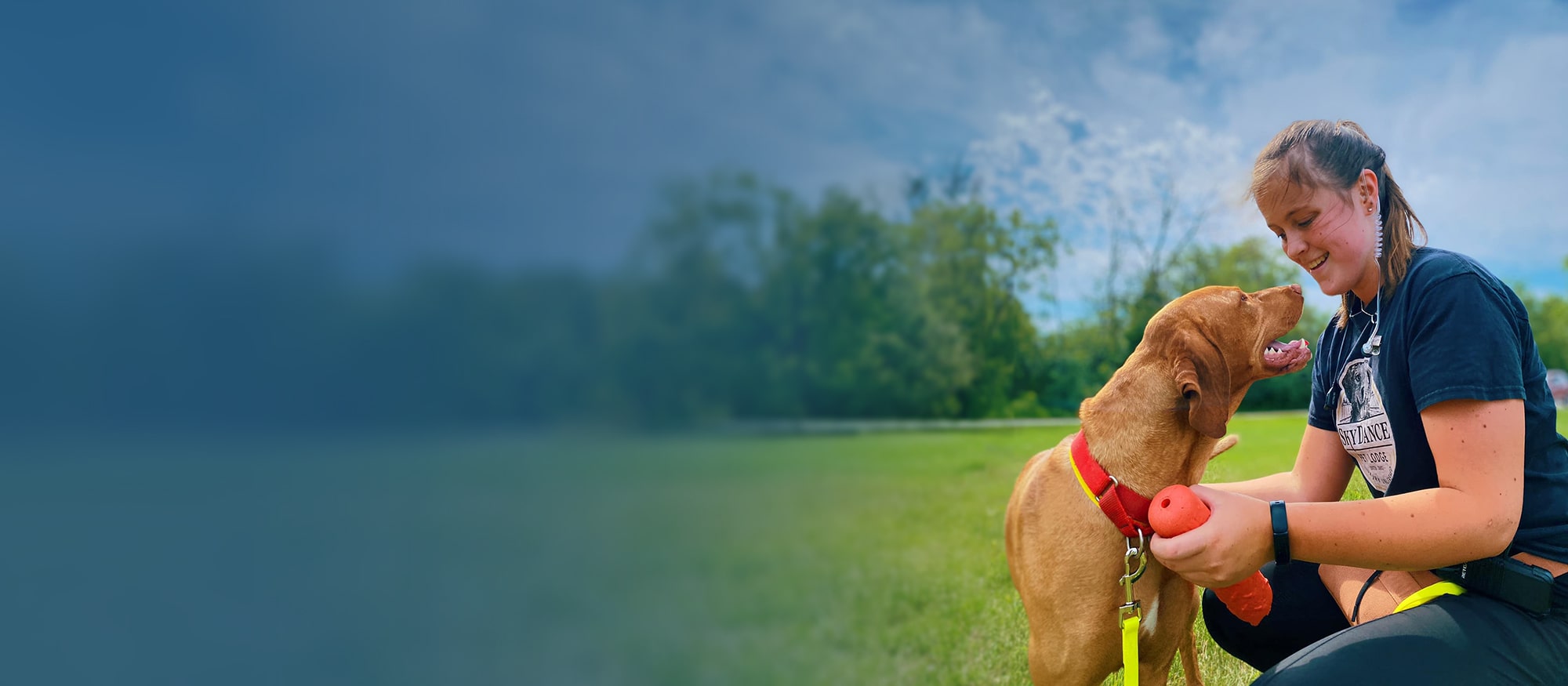 Dog trainer coaching one-on-one