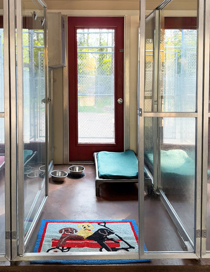 Unlimited rooms for dog boarding in Dousman