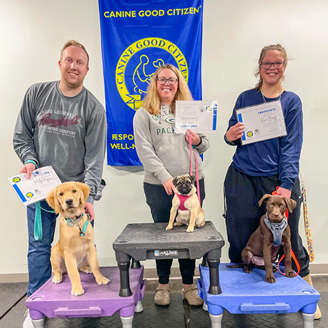 Positive reinforcement dog training near New Berlin