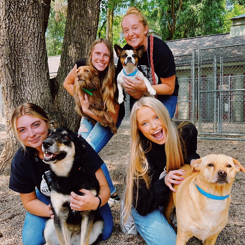 Our team out for a walk with the dogs