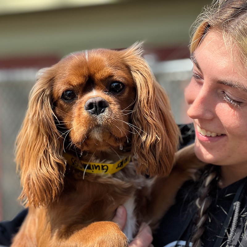 Compassionate staff member embracing a dog