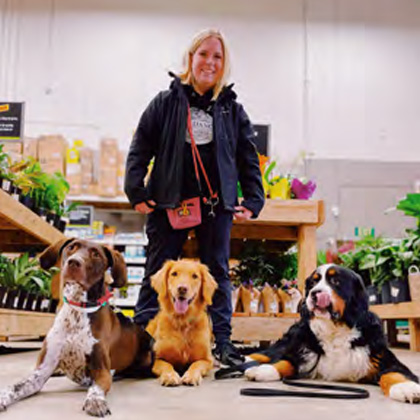 Dog Training in New Berlin & Dousman