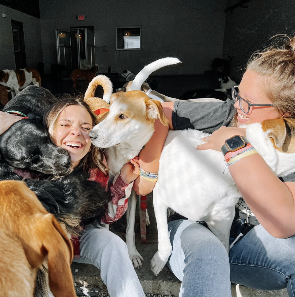 Staff enjoying the sun with the pups 