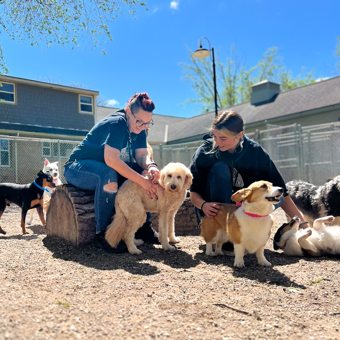 Caretakers Love Playtime! 