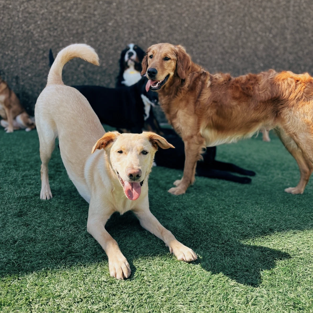 Best Friends at New Berlin