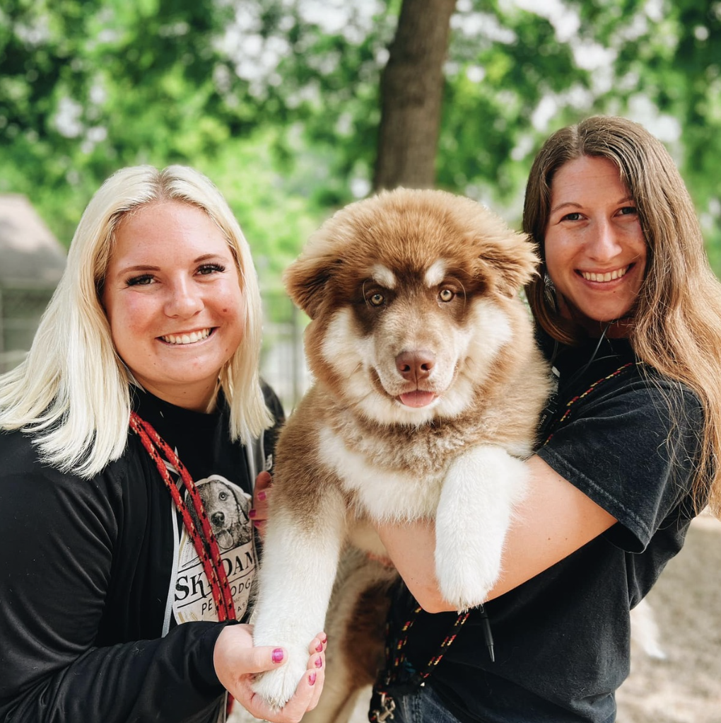 Bonding with a pup at SkyDance