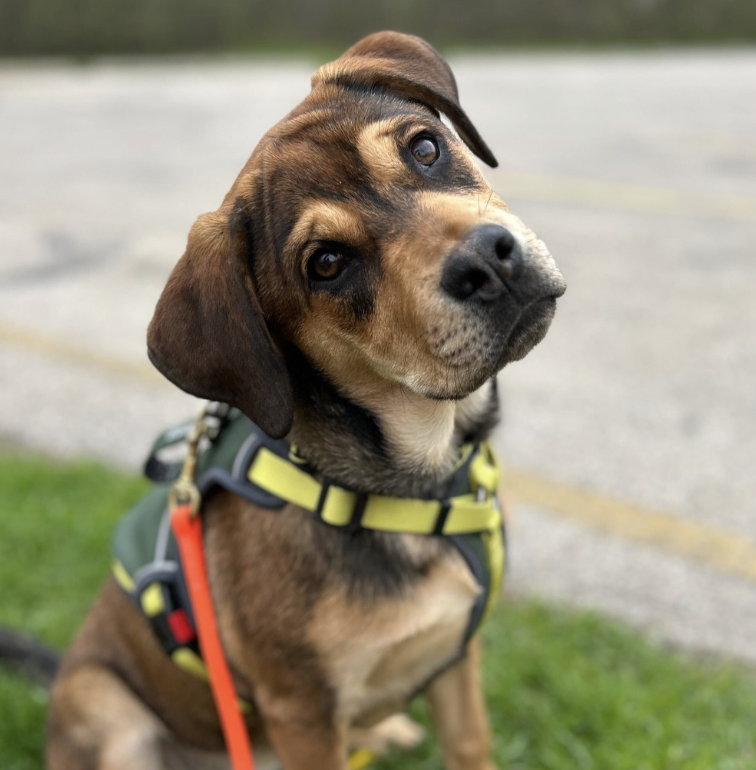 Head tilt during a session! 
