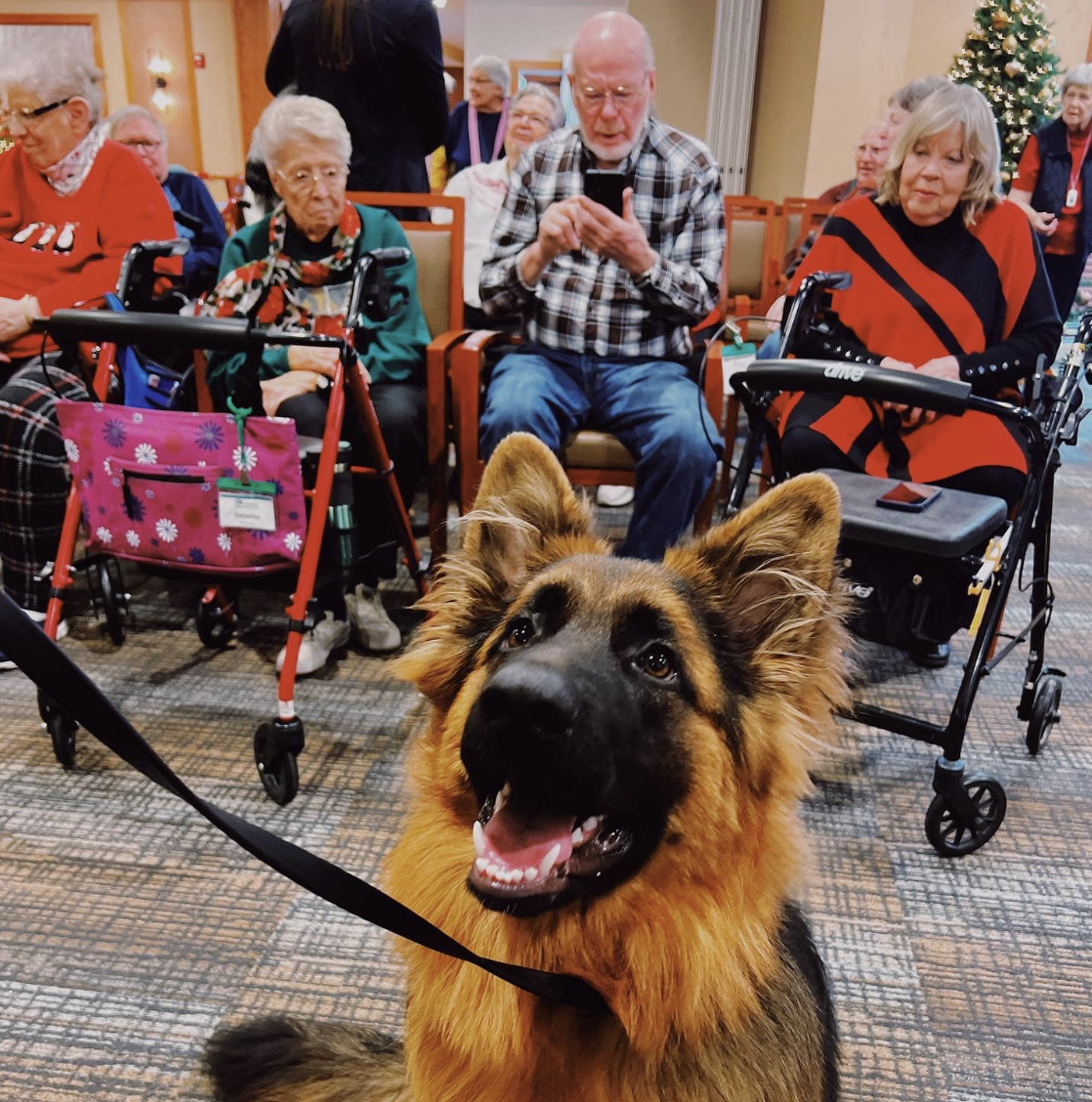 SkyDance Pup at Nursing Home