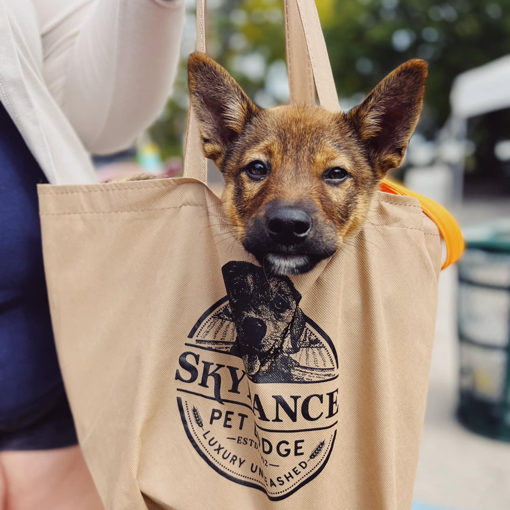 Pup visiting SkyDance Booth at Fromm Pet Fest